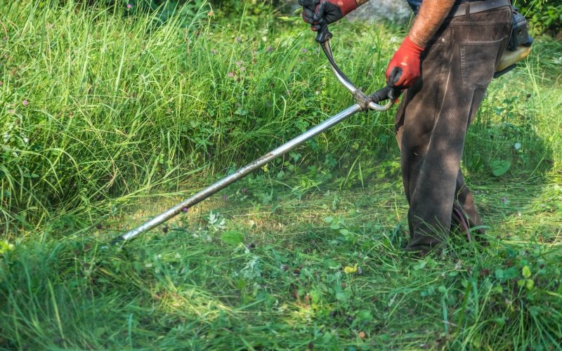 low-section-man-cutting-grass-with-lawn-mower-min low-section-man-cutting-grass-with-lawn-mower-min